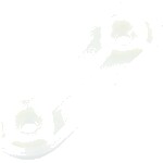 Dishwasher roller support holder - 1521220036 - p.523B
