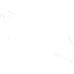 Partition wall - 2232027025 - p.536